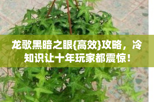 冷知识让十年玩家都震惊图片