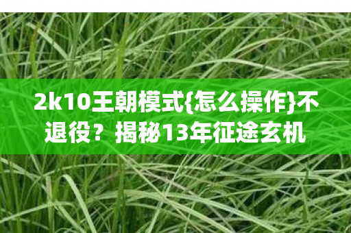 揭秘13年征途玄机图片