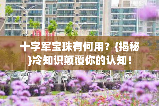 冷知识颠覆你的认知图片