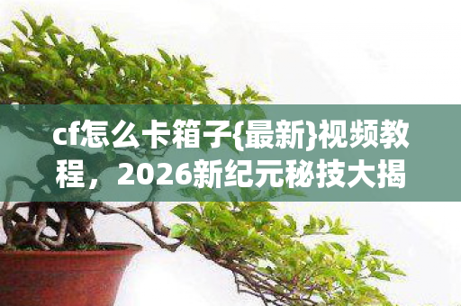 2026新纪元秘技大揭秘图片
