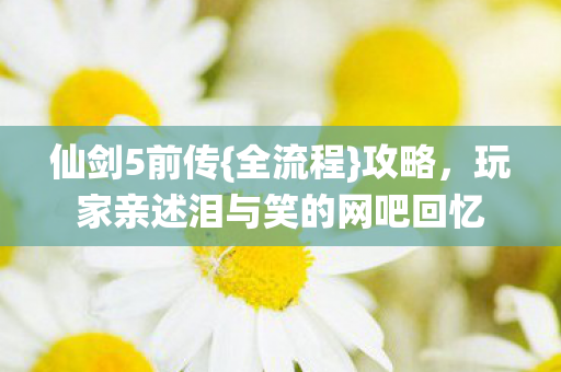 玩家亲述泪与笑的网吧回忆图片
