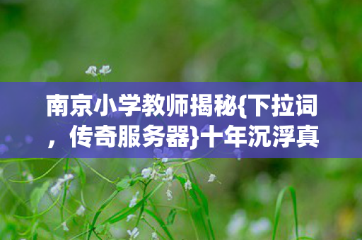 南京小学教师揭秘图片