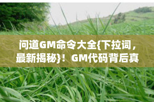 问道GM命令大全图片