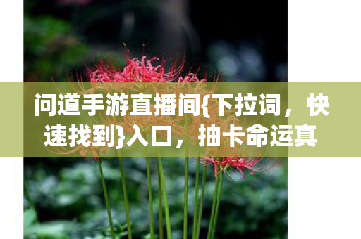 抽卡命运真相揭秘图片