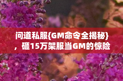 砸15万架服当GM的惊险经历图片