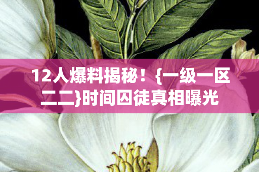 时间囚徒真相曝光图片
