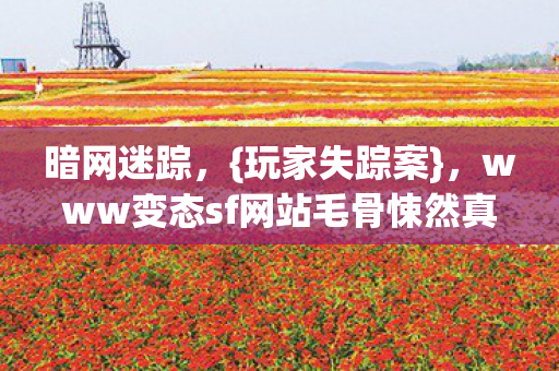暗网迷踪，{玩家失踪案}，www变态sf网站毛骨悚然真相