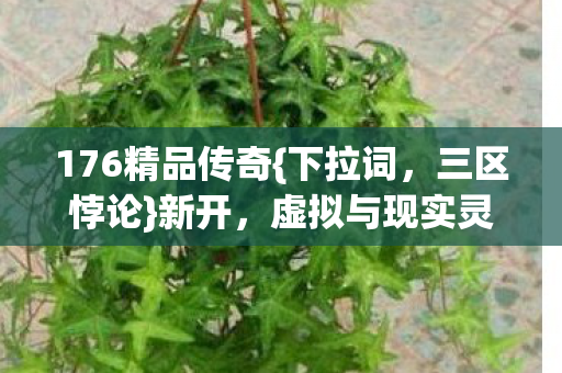 176精品传奇{下拉词，三区悖论}新开，虚拟与现实灵魂审判