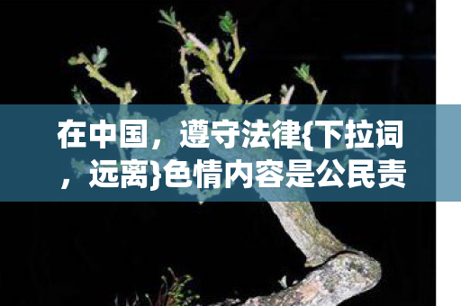 色情内容是公民责任图片