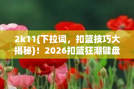 2026扣篮狂潮键盘操作秘籍图片