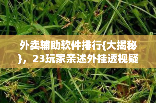 23玩家亲述外挂透视疑点图片