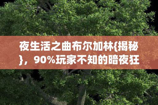 夜生活之曲布尔加林图片