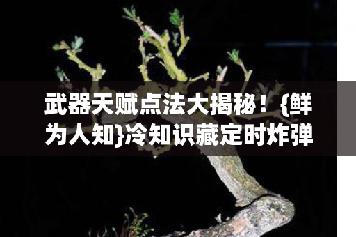 武器天赋点法大揭秘图片