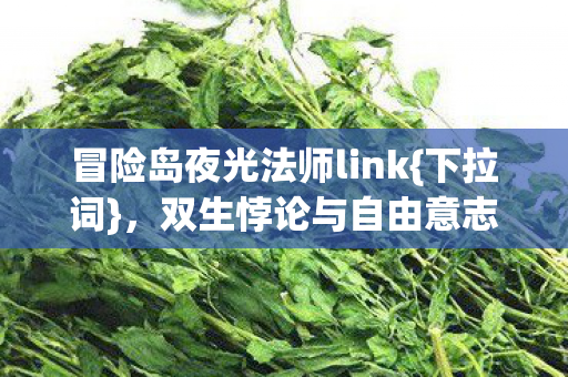 冒险岛夜光法师link图片