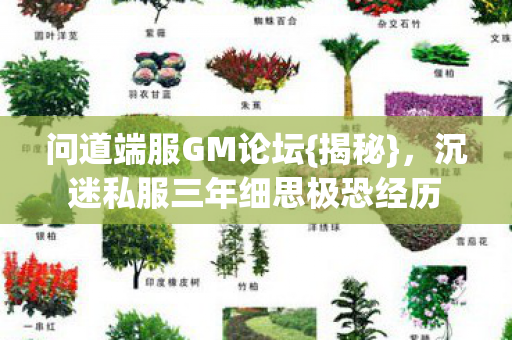 沉迷私服三年细思极恐经历图片