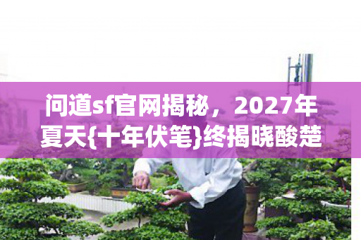 问道sf官网揭秘图片