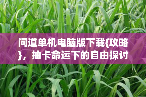 抽卡命运下的自由探讨图片
