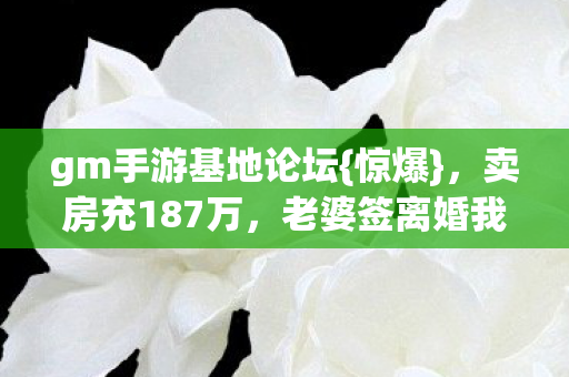 gm手游基地论坛图片