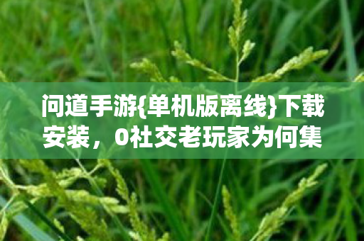 0社交老玩家为何集体叛逃图片