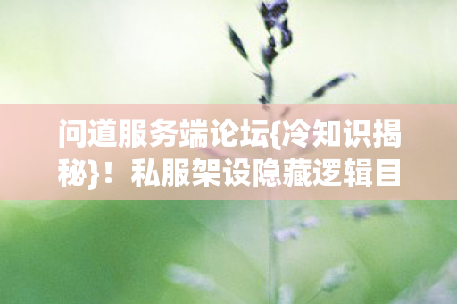 私服架设隐藏逻辑目瞪口呆图片