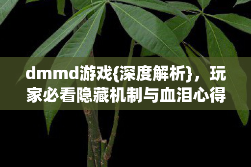 玩家必看隐藏机制与血泪心得图片