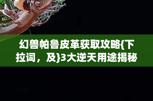 幻兽帕鲁皮革获取攻略图片