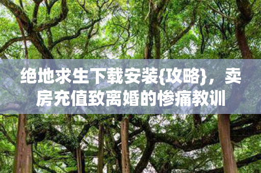 卖房充值致离婚的惨痛教训图片