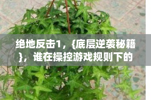谁在操控游戏规则下的自由图片