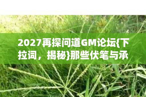 2027再探问道GM论坛图片