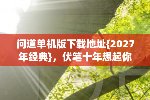 问道单机版下载地址图片