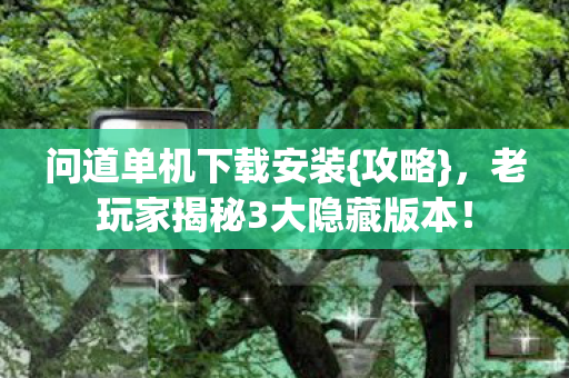 老玩家揭秘3大隐藏版本图片
