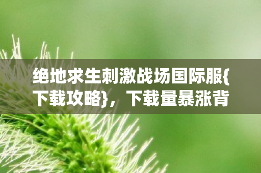 绝地求生刺激战场国际服图片