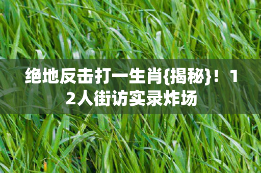 12人街访实录炸场图片