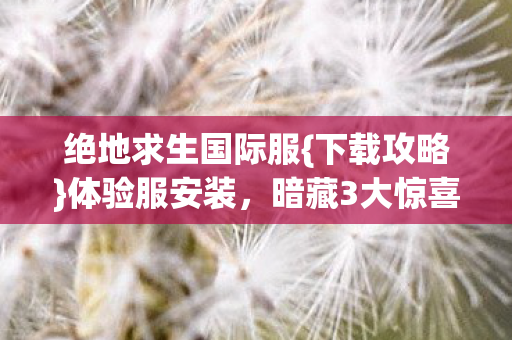 绝地求生国际服图片