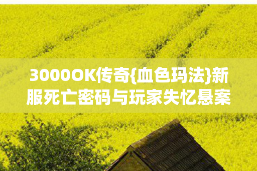 3000OK传奇{血色玛法}新服死亡密码与玩家失忆悬案 3000OK传奇{血色玛法}新服死亡密码与玩家失忆悬案