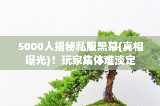 5000人揭秘私服黑幕{真相曝光}!玩家集体难淡定 5000人揭秘私服黑幕{真相曝光}!玩家集体难淡定