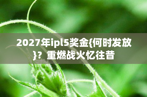 2027年ipl5奖金图片