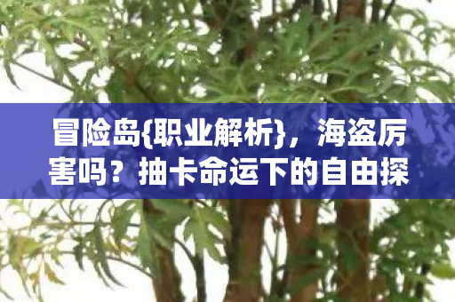 抽卡命运下的自由探寻图片