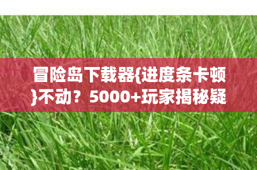 冒险岛下载器图片