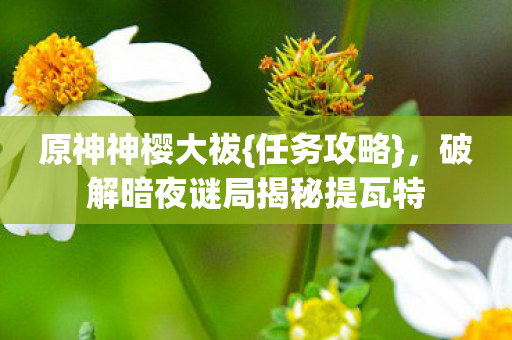 破解暗夜谜局揭秘提瓦特图片