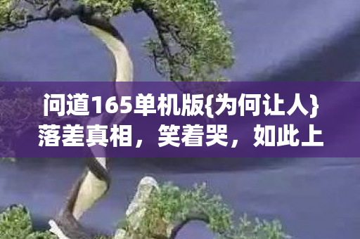 问道165单机版图片
