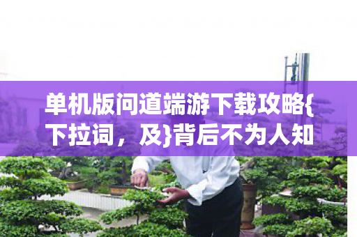 单机版问道端游下载攻略图片