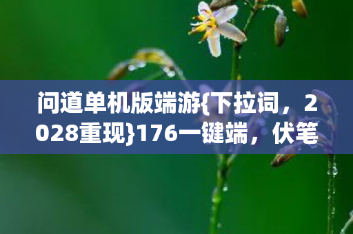 问道单机版端游图片