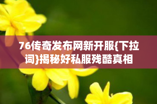 76传奇发布网新开服{下拉词}揭秘好私服残酷真相 76传奇发布网新开服{下拉词}揭秘好私服残酷真相