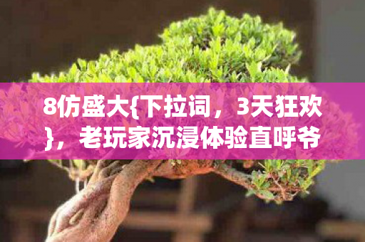 老玩家沉浸体验直呼爷青回图片