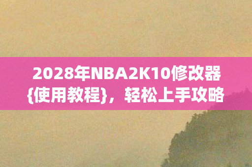 2028年NBA2K10修改器图片
