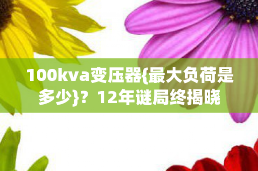 100kva变压器图片