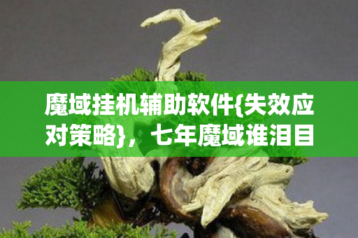 魔域挂机辅助软件图片