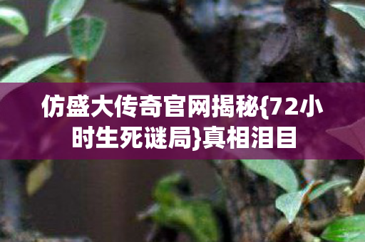 仿盛大传奇官网揭秘图片
