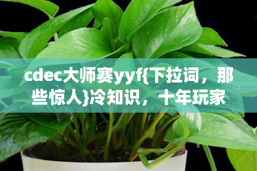 cdec大师赛yyf图片